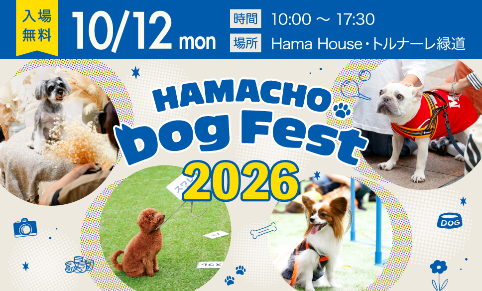 10月12日】犬と地域社会のイベント「HAMACHO Dog Fest 2026」