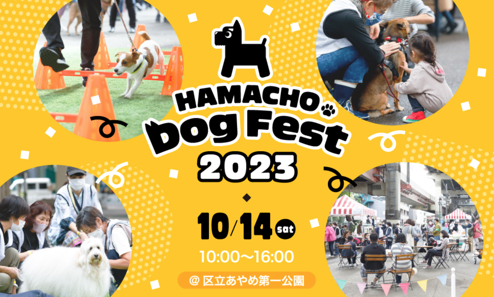 【10月14日】犬と地域社会のイベント「HAMACHO Dog Fest 2023」